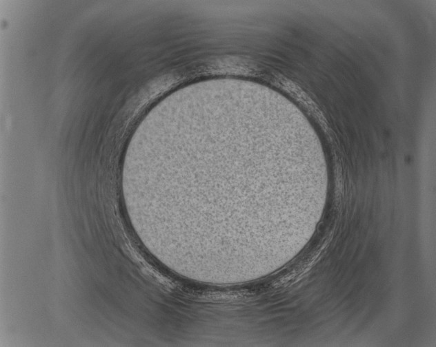 X0000081450625200702021743