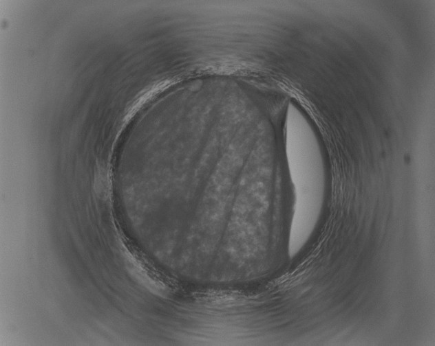 X0000081450626200702021743