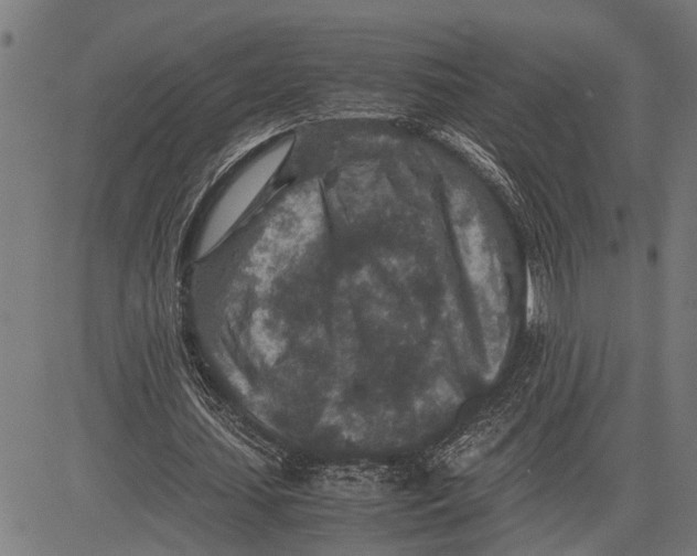 X0000081450627200702021743