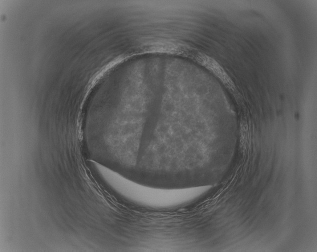 X0000081450628200702021743