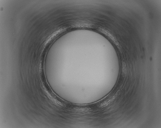 X0000081450629200702021743