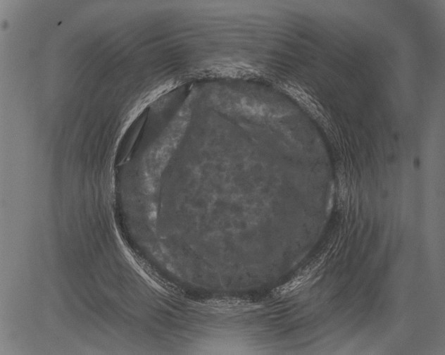 X0000081450630200702021743