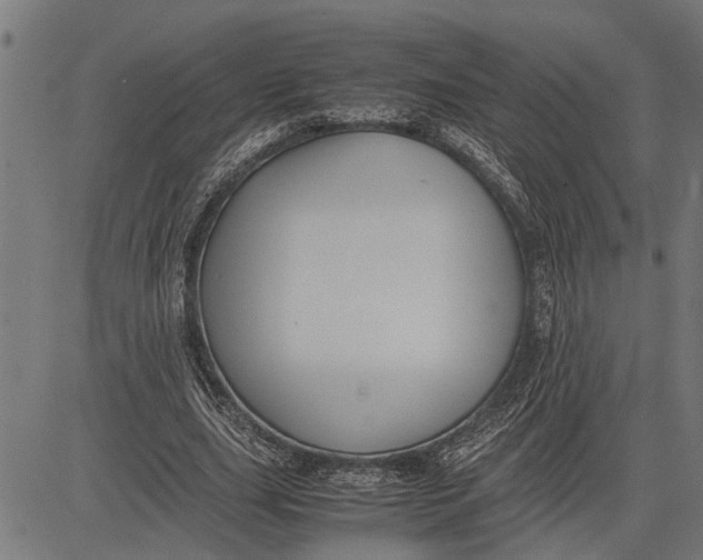 X0000081450631200702021743