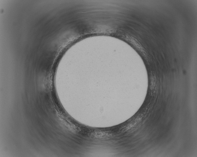 X0000081450632200702021743