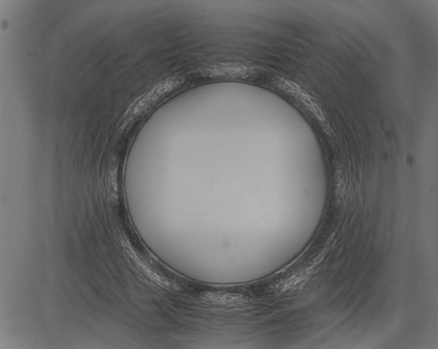 X0000081450633200702021743