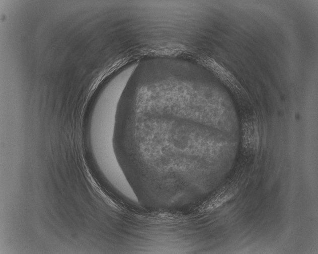 X0000081450634200702021743