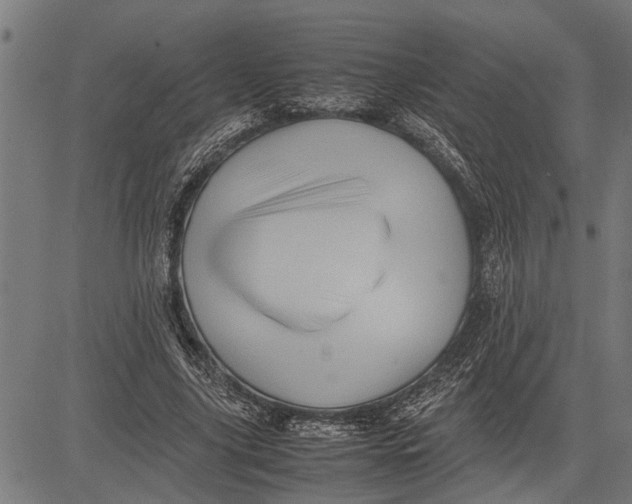 X0000081450635200702021743