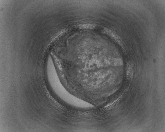 X0000081450637200702021743