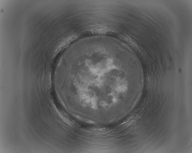 X0000081450638200702021743