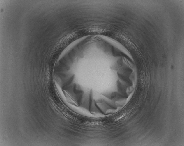 X0000081450639200702021743