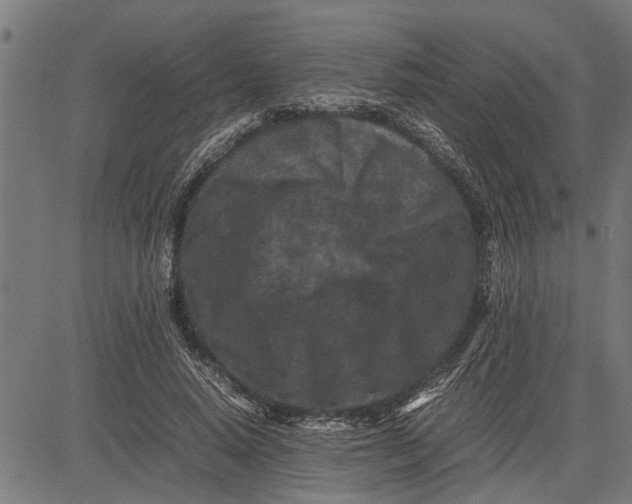 X0000081450640200702021743