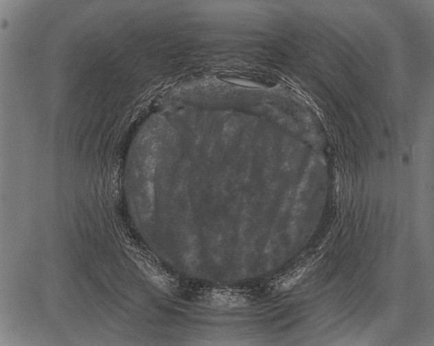 X0000081450641200702021743