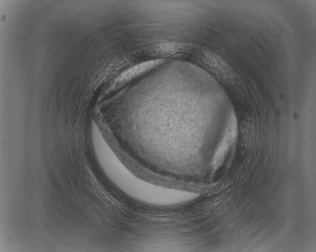 X0000081450642200702021743