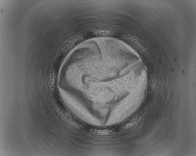 X0000081450645200702021743