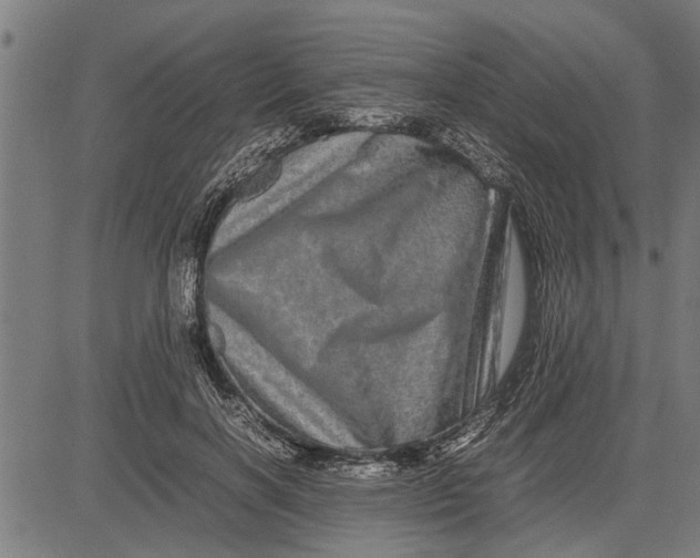 X0000081450646200702021743