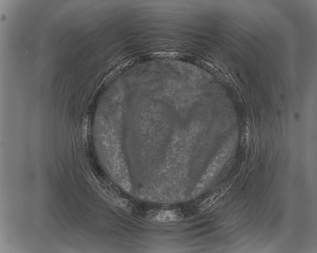 X0000081450647200702021743