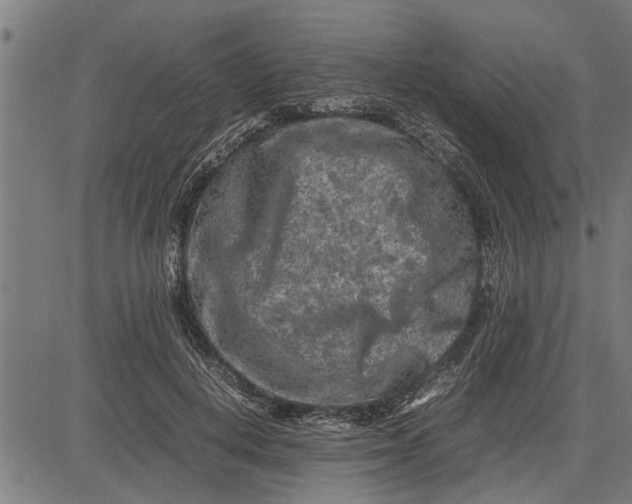 X0000081450648200702021743