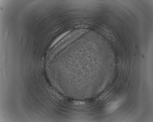 X0000081450649200702021743