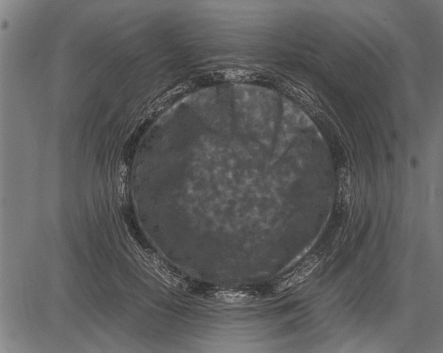 X0000081450650200702021743