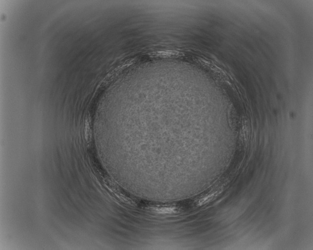 X0000081450651200702021743