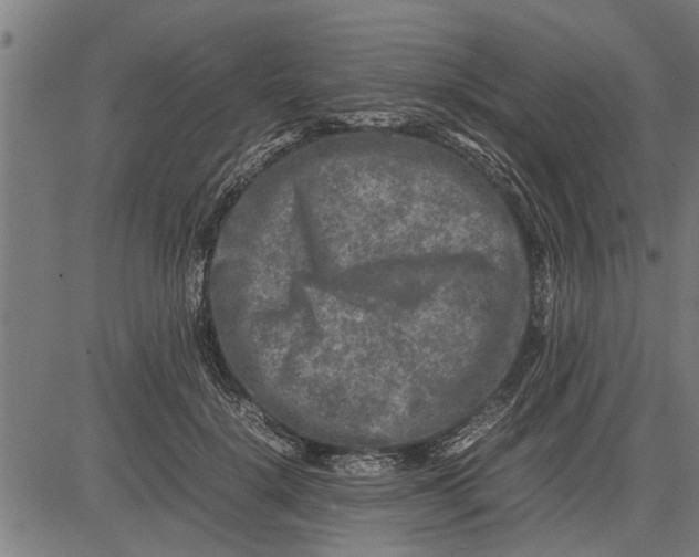 X0000081450652200702021743