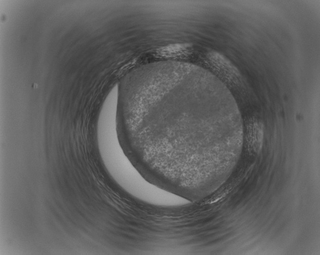 X0000081450653200702021743