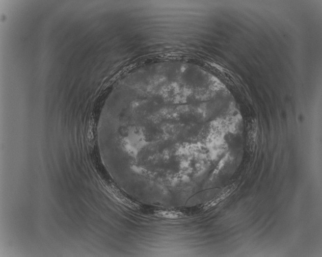 X0000081450654200702021743