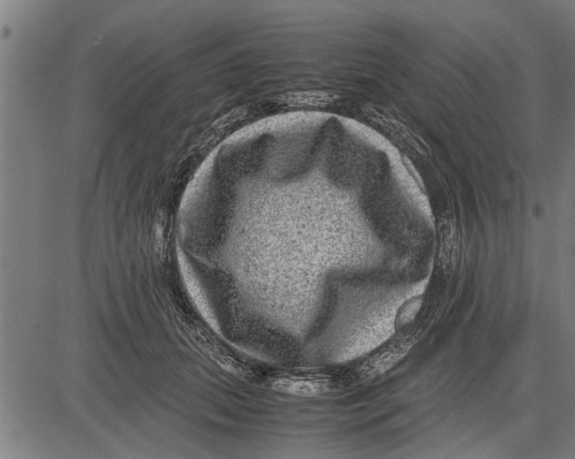 X0000081450655200702021743