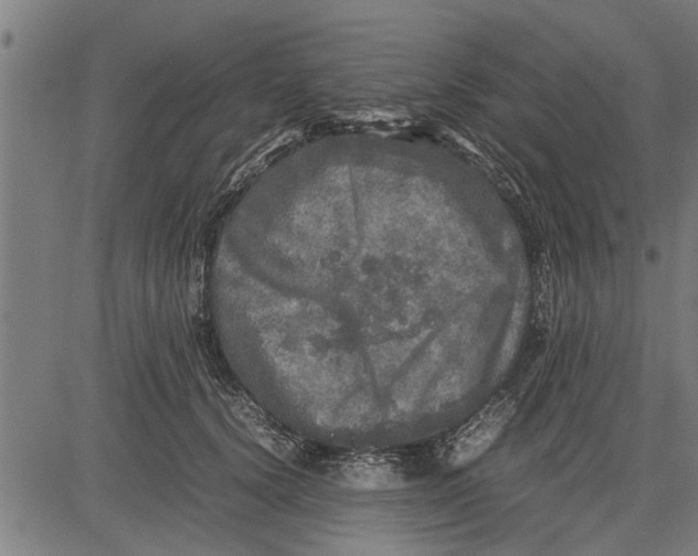 X0000081450656200702021743