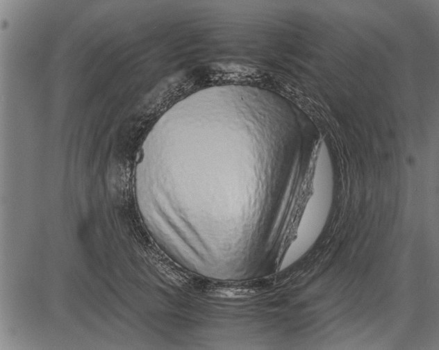 X0000081450657200702021743