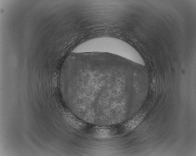 X0000081450658200702021743