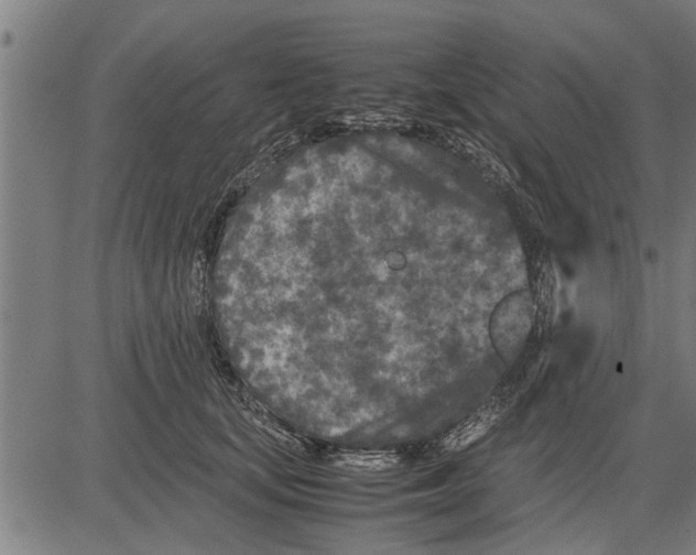 X0000081450659200702021743