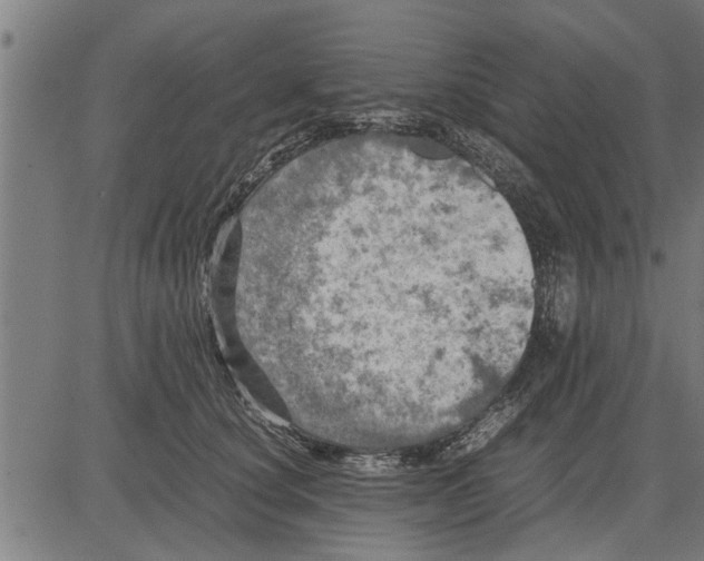 X0000081450660200702021743