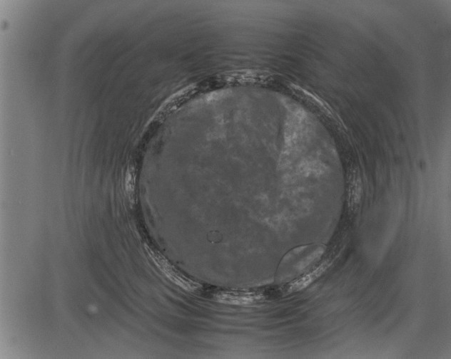 X0000081450661200702021743