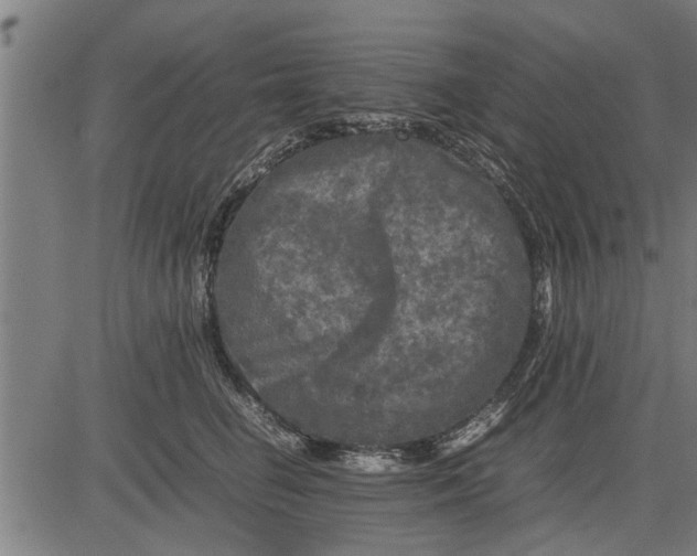 X0000081450662200702021743