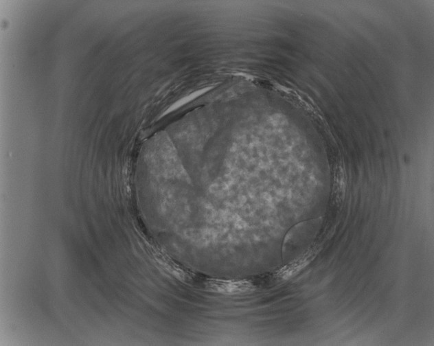 X0000081450663200702021743