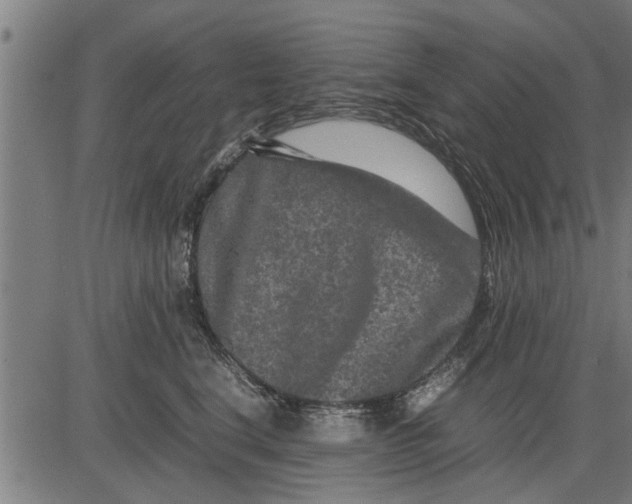 X0000081450664200702021744