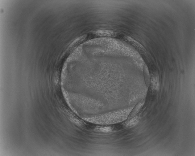 X0000081450665200702021744