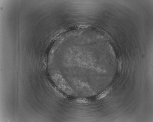 X0000081450666200702021744