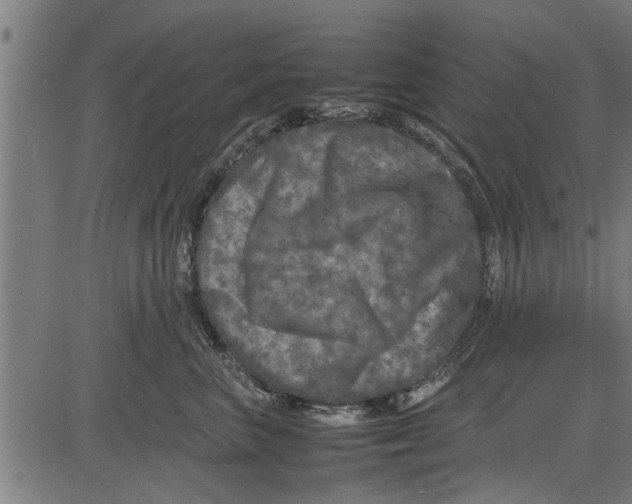 X0000081450667200702021744