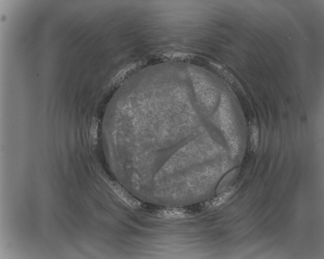 X0000081450668200702021744