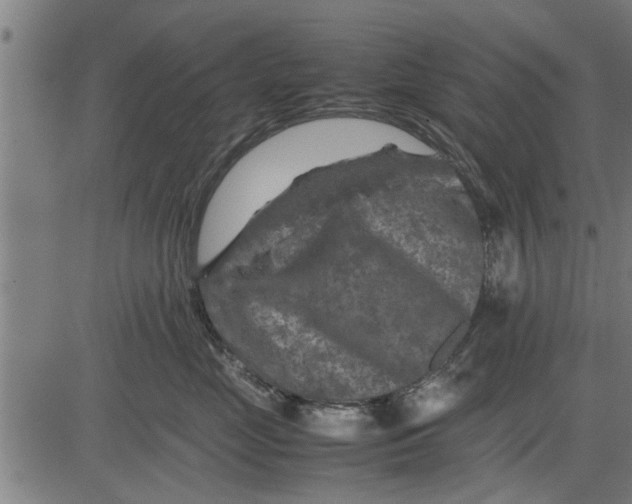 X0000081450669200702021744