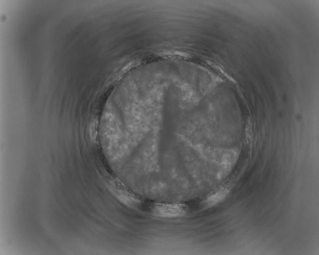 X0000081450671200702021744