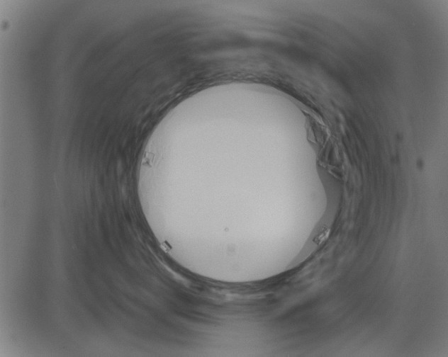 X0000081450672200702021744