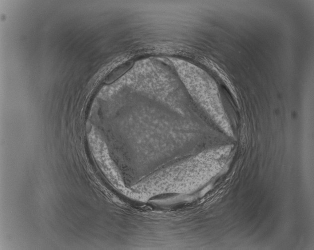 X0000081450673200702021743