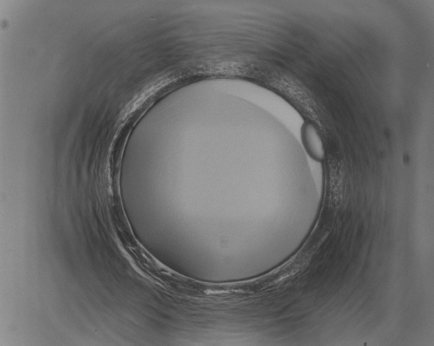 X0000081450674200702021743