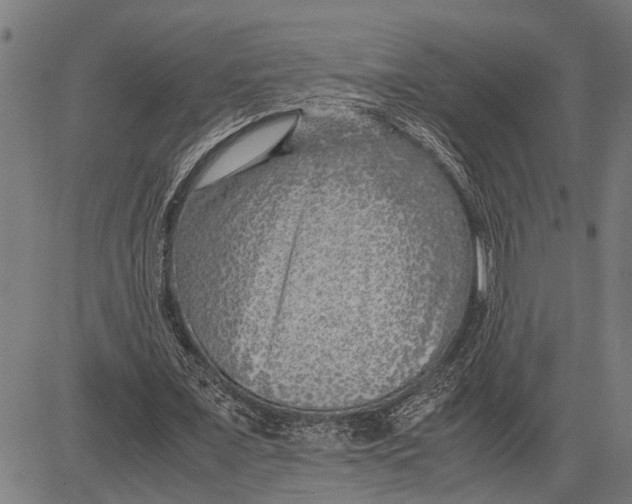 X0000081450675200702021743