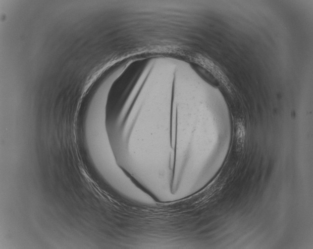 X0000081450676200702021743