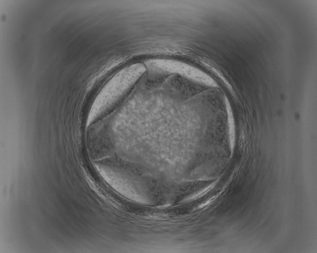 X0000081450677200702021743