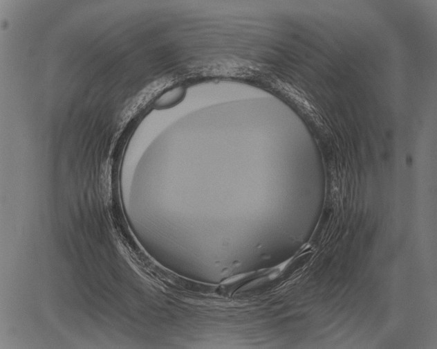 X0000081450678200702021743